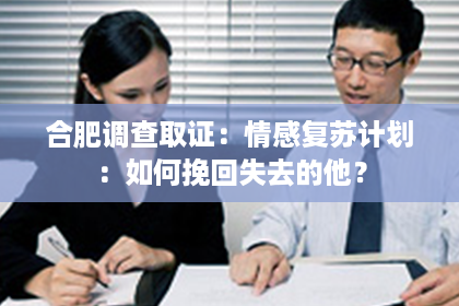 合肥调查取证：情感复苏计划：如何挽回失去的他？