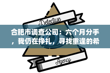 合肥市调查公司：六个月分手，我仍在挣扎，寻找重逢的希望