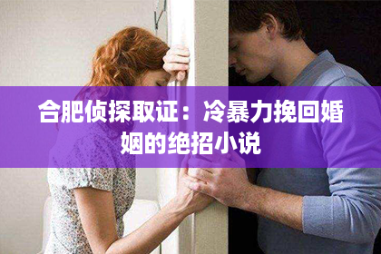 合肥侦探取证：冷暴力挽回婚姻的绝招小说