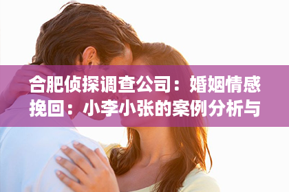 合肥侦探调查公司：婚姻情感挽回：小李小张的案例分析与解决方案