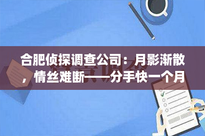 合肥侦探调查公司：月影渐散，情丝难断——分手快一个月，能否挽回那段旧时光？