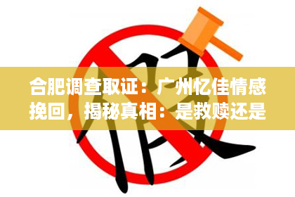 合肥调查取证：广州忆佳情感挽回，揭秘真相：是救赎还是骗局？