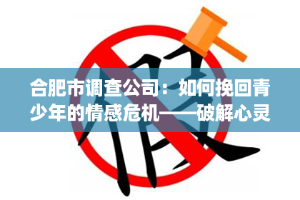 合肥市调查公司：如何挽回青少年的情感危机——破解心灵困境的五大策略