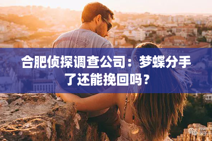 合肥侦探调查公司：梦蝶分手了还能挽回吗？