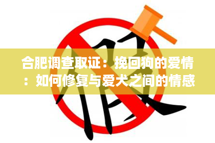 合肥调查取证：挽回狗的爱情：如何修复与爱犬之间的情感纽带